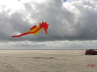 Fanoe_2014_149