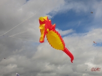 Fanoe_2014_157