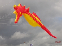 Fanoe_2014_158
