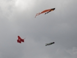 Fanoe_2014_142