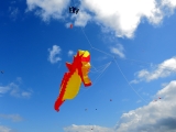 Fanoe_2014_147