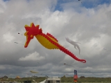 Fanoe_2014_156