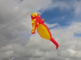 Fanoe_2014_157