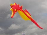 Fanoe_2014_158
