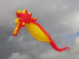 Fanoe_2014_159