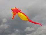 Fanoe_2014_160