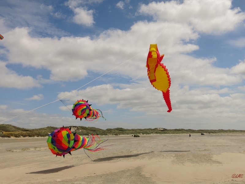 Fanoe_2014_163
