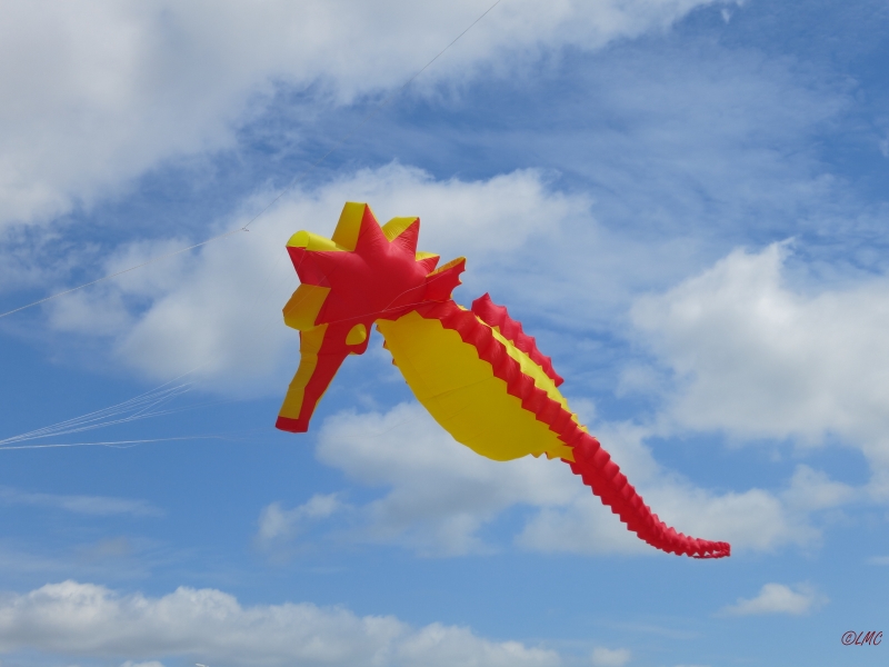 Fanoe_2014_165