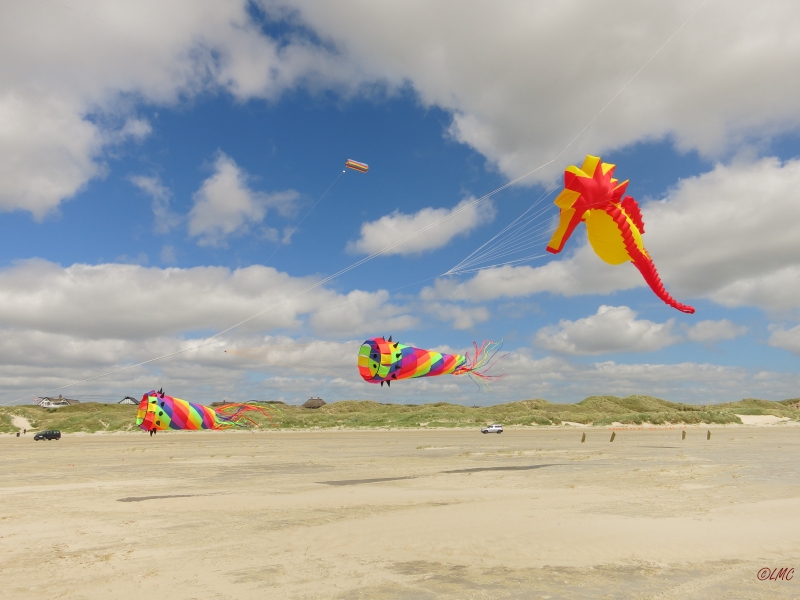 Fanoe_2014_168