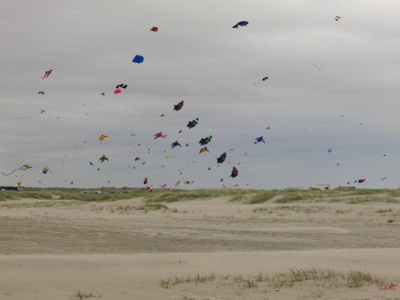 Fanoe_2014_172