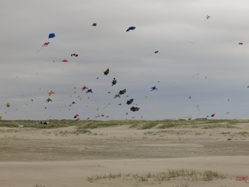 Fanoe_2014_173