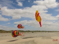 Fanoe_2014_163