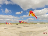 Fanoe_2014_167