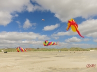 Fanoe_2014_168