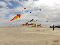Fanoe_2014_170