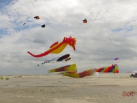 Fanoe_2014_171