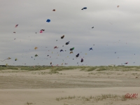 Fanoe_2014_172