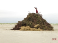 Fanoe_2014_175