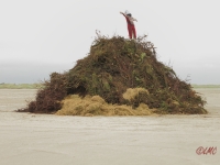 Fanoe_2014_176