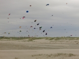 Fanoe_2014_172