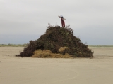 Fanoe_2014_174