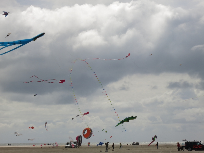 Fanoe_2014_191