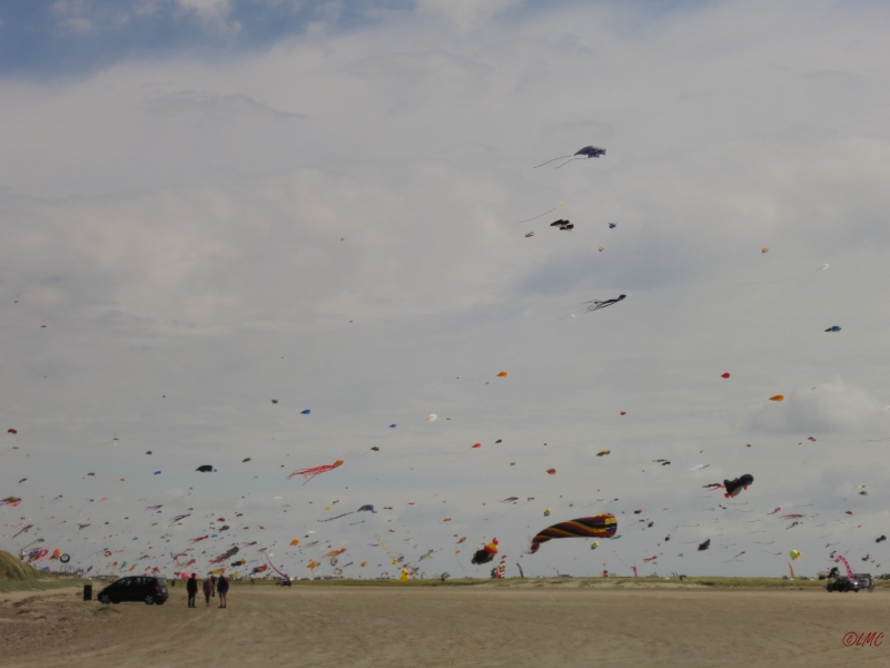 Fanoe_2014_194