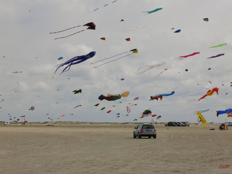 Fanoe_2014_197