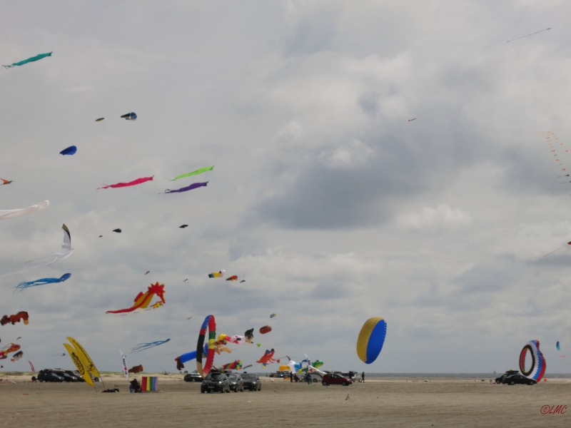 Fanoe_2014_201