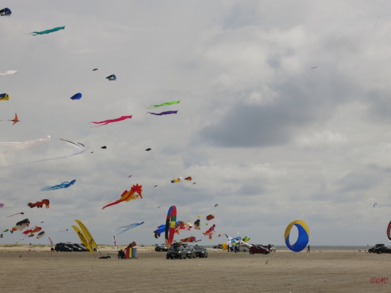 Fanoe_2014_202