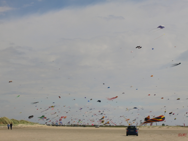 Fanoe_2014_203