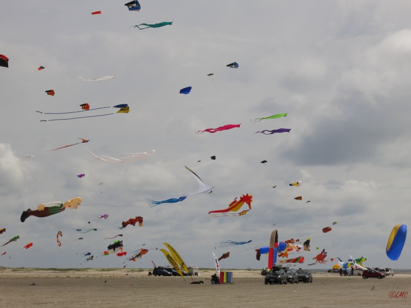Fanoe_2014_205