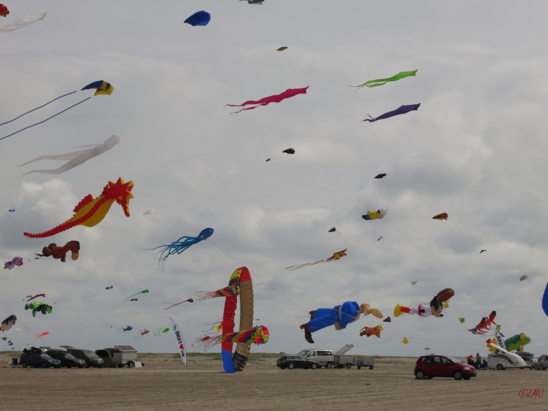 Fanoe_2014_207