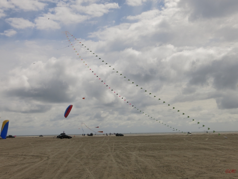 Fanoe_2014_209