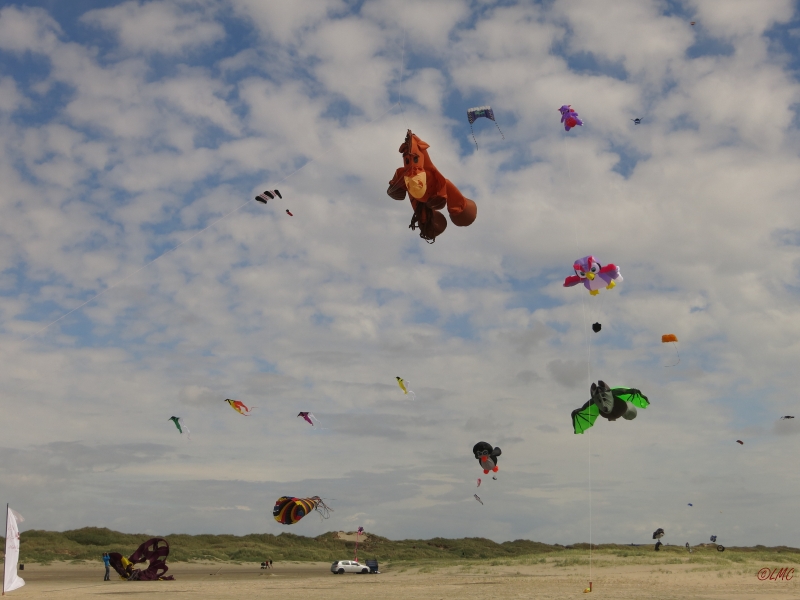 Fanoe_2014_217