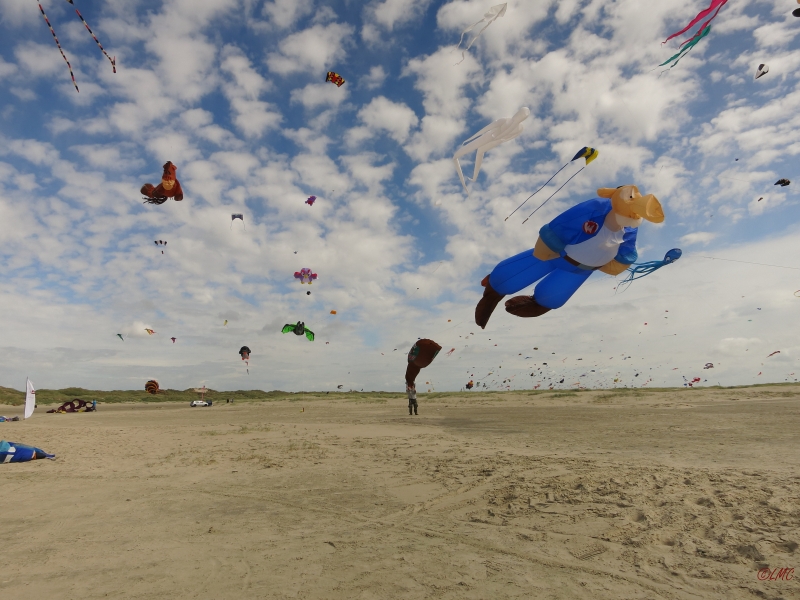 Fanoe_2014_220