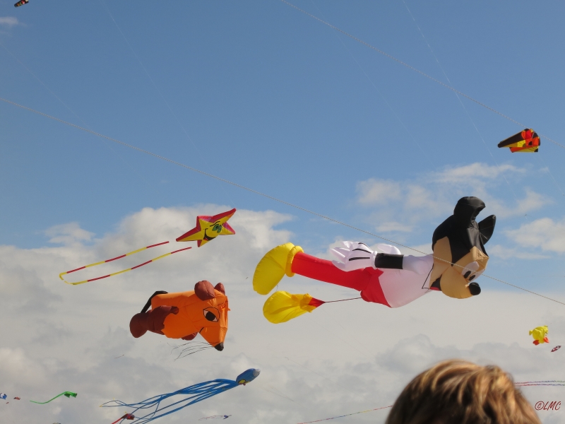 Fanoe_2014_222