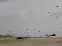 Fanoe_2014_195