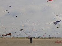 Fanoe_2014_196