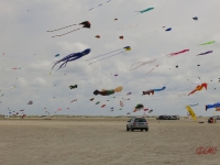 Fanoe_2014_197