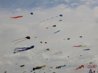 Fanoe_2014_198