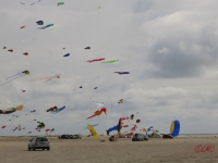 Fanoe_2014_199