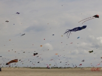 Fanoe_2014_204
