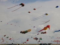 Fanoe_2014_208