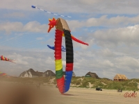 Fanoe_2014_219