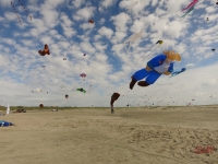 Fanoe_2014_220