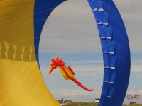 Fanoe_2014_225