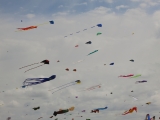 Fanoe_2014_198
