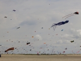 Fanoe_2014_204