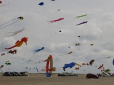 Fanoe_2014_207